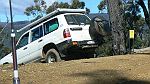08-Compass Rose enjoys the steep descent of Stock Route Spur Track